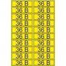 Наклейка REXANT знак электробезопасности «36 В» 15х50 мм (20 шт на листе) 56-0009-1